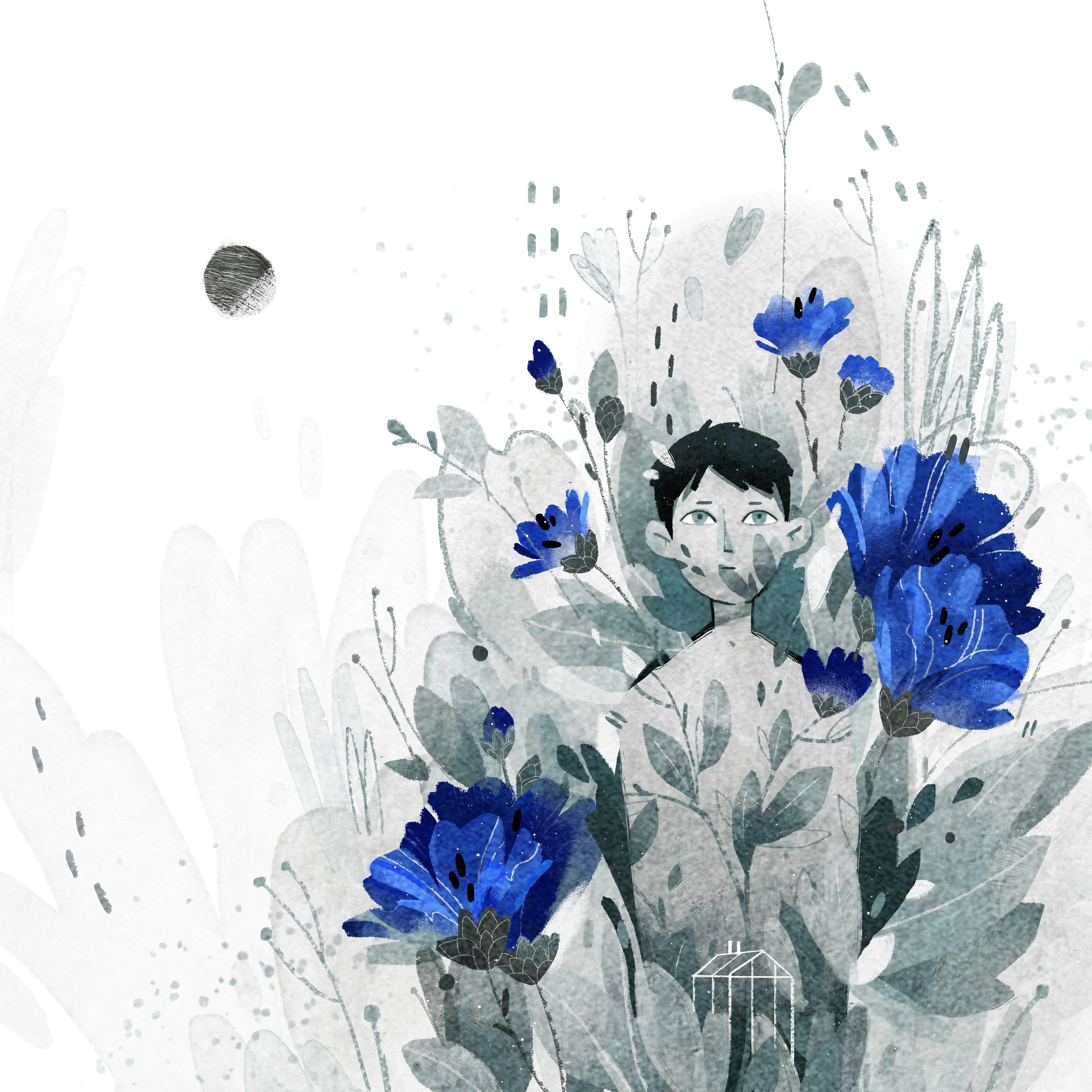 White Nights - Image 5