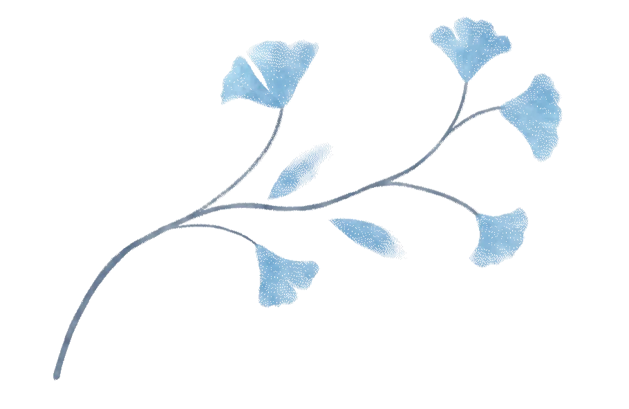 The journey - Image 11